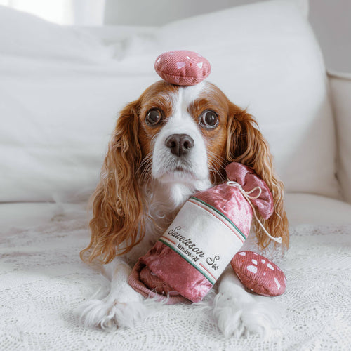 Hond speelt enthousiast met het SAUCISSON SEC hondenspeeltje van Lambwolf Collective