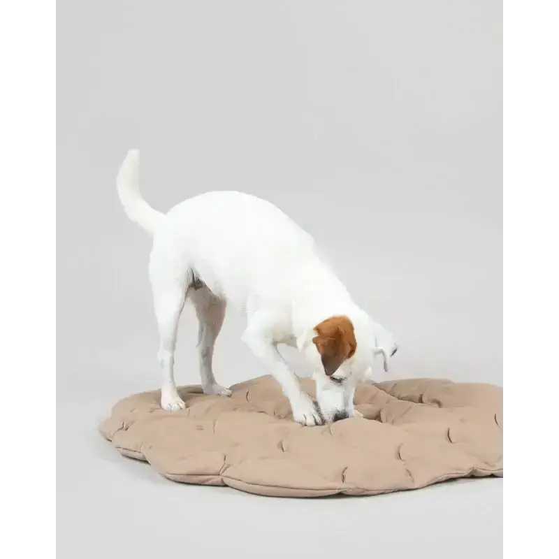 Hund nutzt die PAIKKA Schnüffelmatte als Beschäftigung für drinnen – perfekt für Regentage.