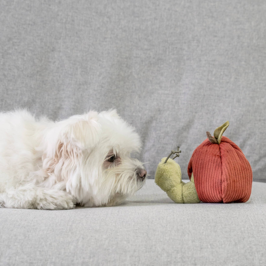 Hund schnüffelt neugierig an der Apfelschale des Apple & Caterpillar Spielzeugs von Lambwolf Collective
