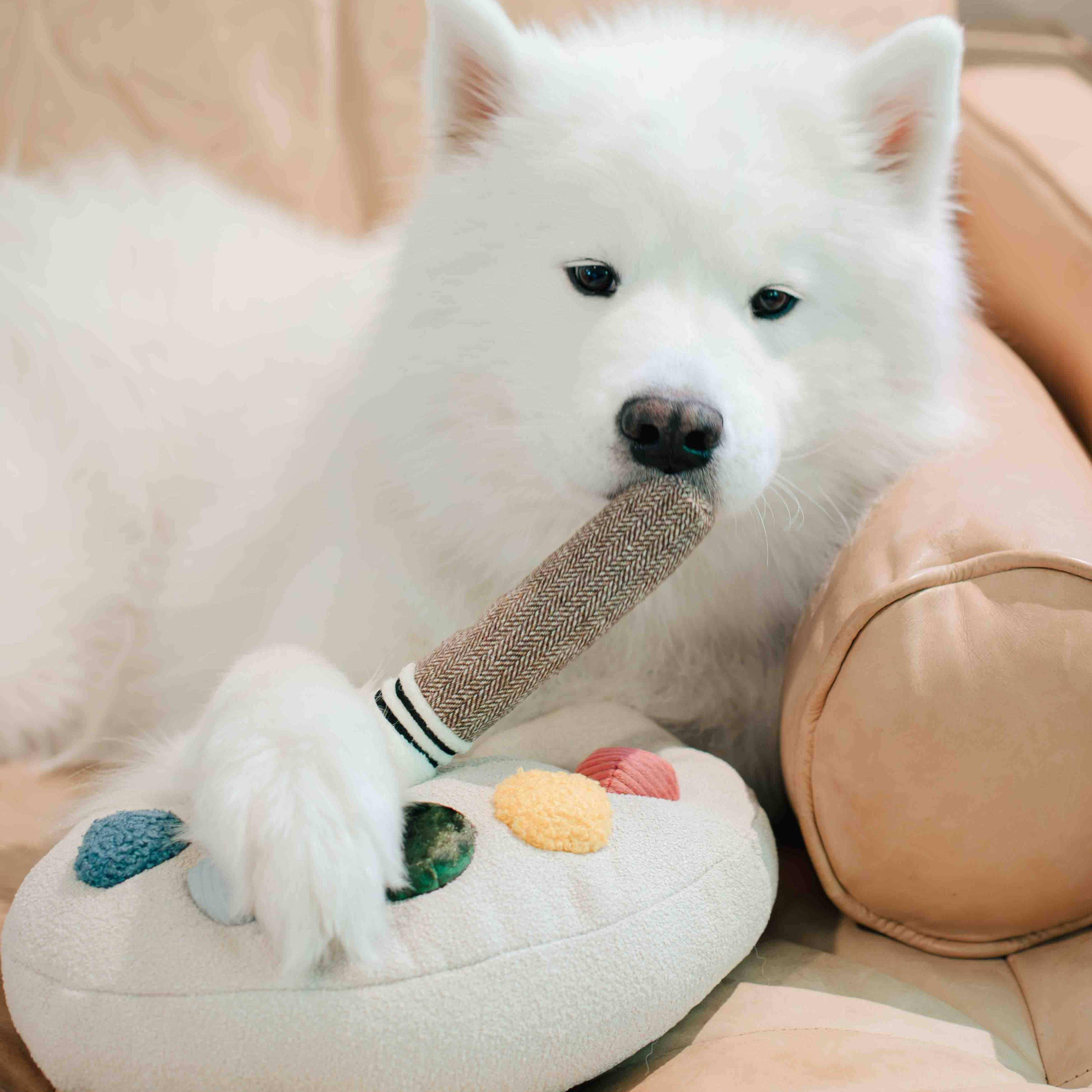 Hund ruht mit der Pfote auf dem Paletten-Kuschelkissen von Lambwolf Collective