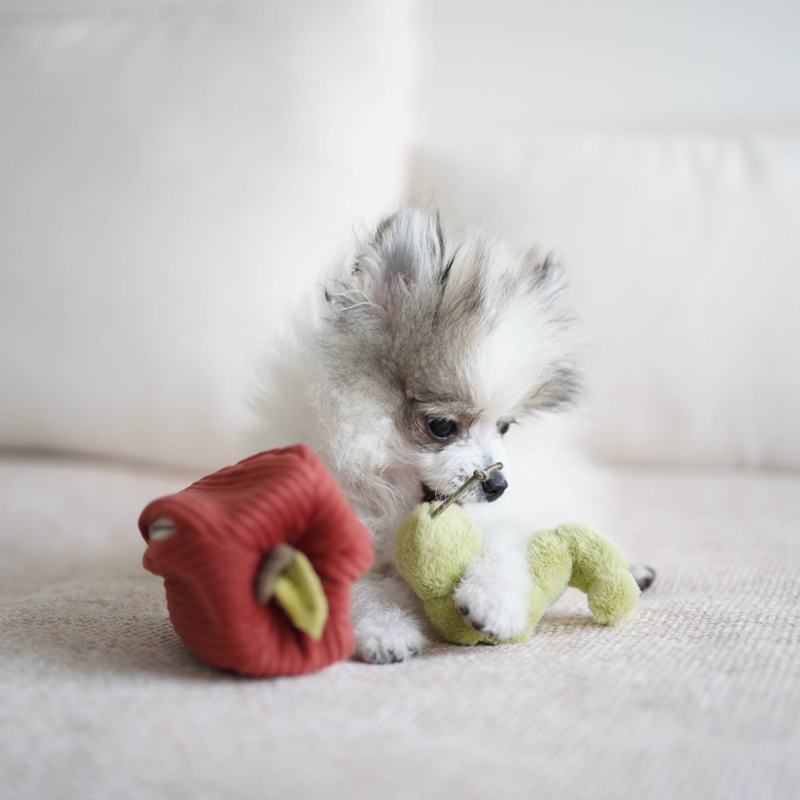 Hund spielt begeistert mit dem Apple & Caterpillar Quietschwurm-Spielzeug von Lambwolf Collective