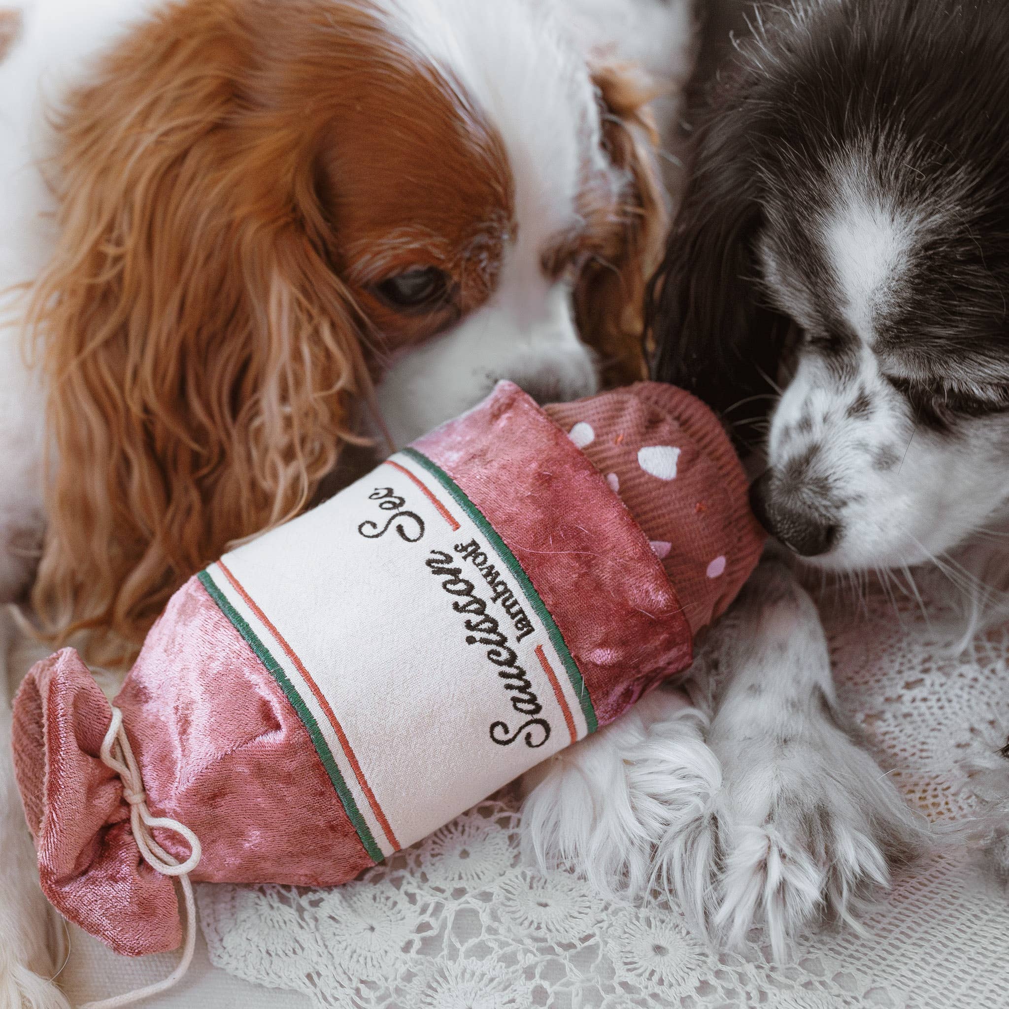 Hund zergelt und apportiert das SAUCISSON SEC Baguette-Spielzeug von Lambwolf Collective