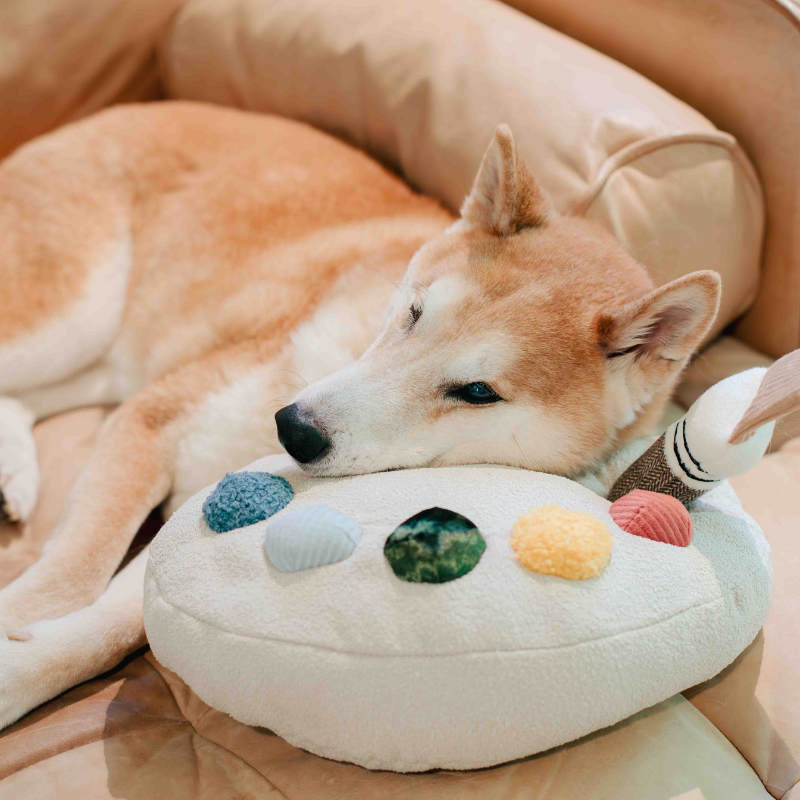 Hund liegt entspannt auf Farbpaletten-Kuschelkissen von Lambwolf Collective