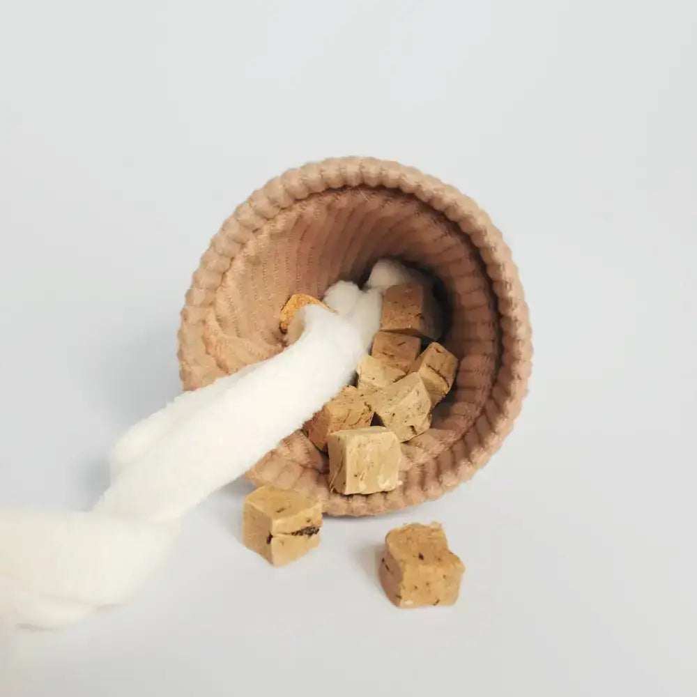 Hund sucht Leckerlis im ICE CREAM POP Spielzeug – Interaktives Beschäftigungsspiel für Hunde