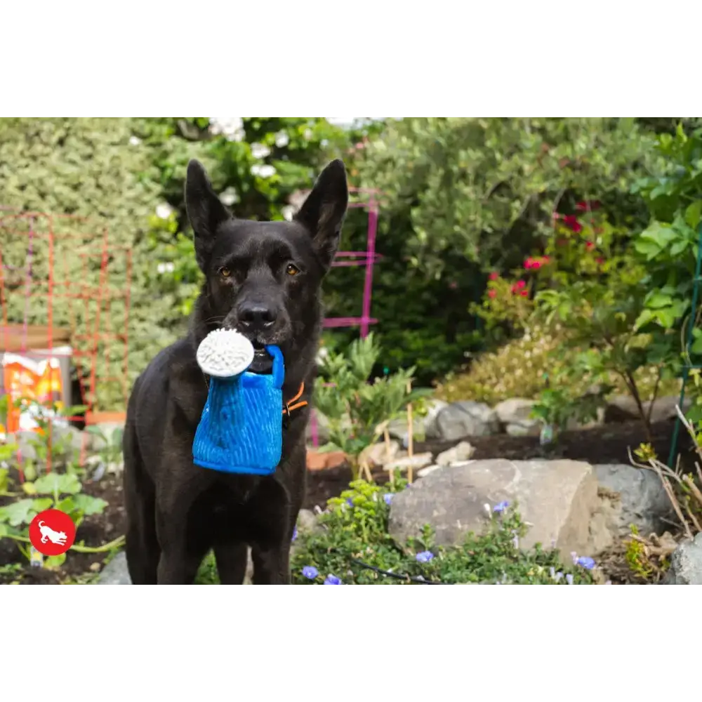 Hund trägt die P.L.A.Y Gießkanne – weiches, aber strapazierfähiges Plüschspielzeug mit Knister- und Quietschfunktion.