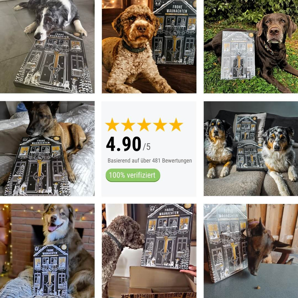 Kundenmeinung zum Hunde Adventskalender von Tales & Tails mit 5-Sterne-Bewertung