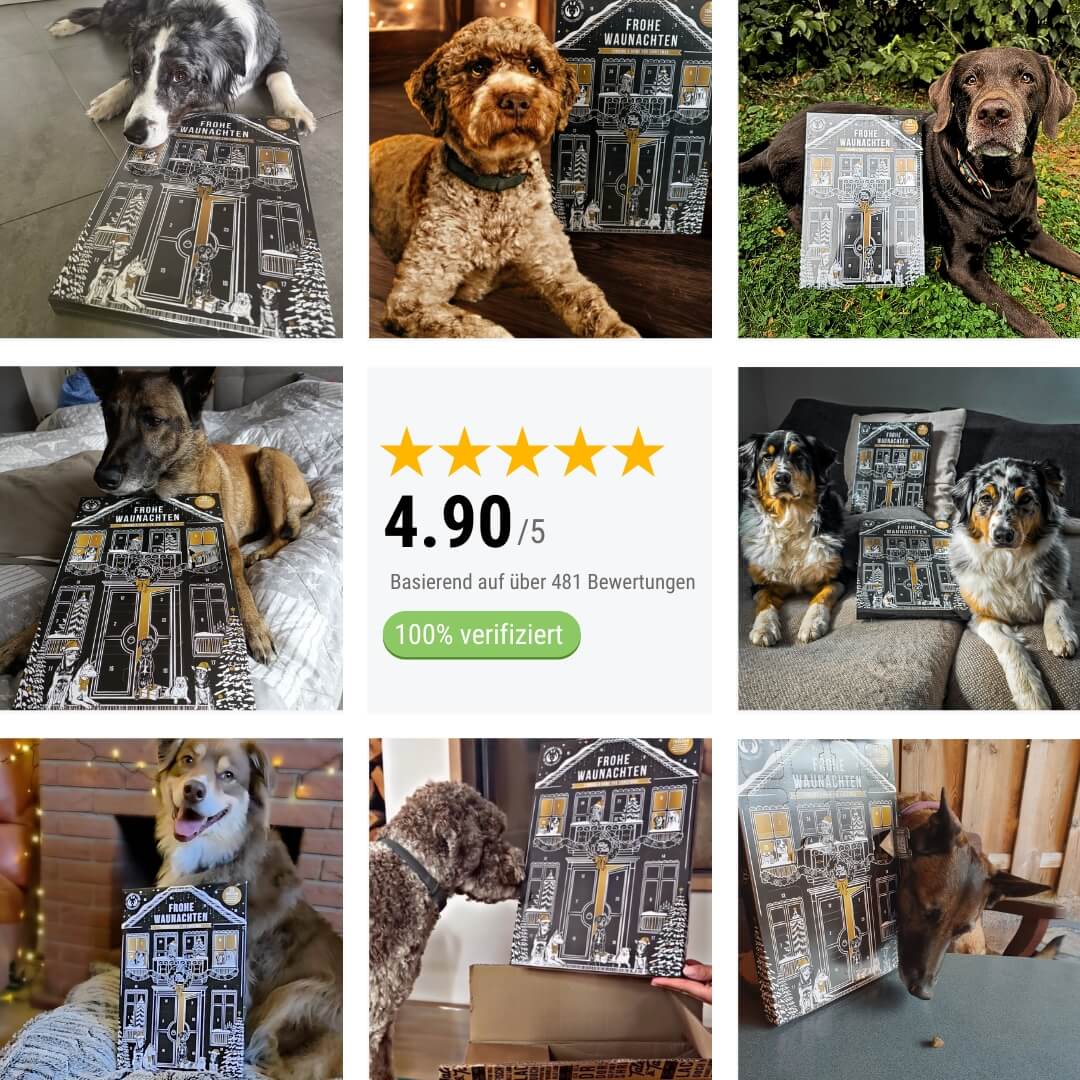 Kundenmeinung zum Hunde Adventskalender von Tales & Tails mit 5-Sterne-Bewertung