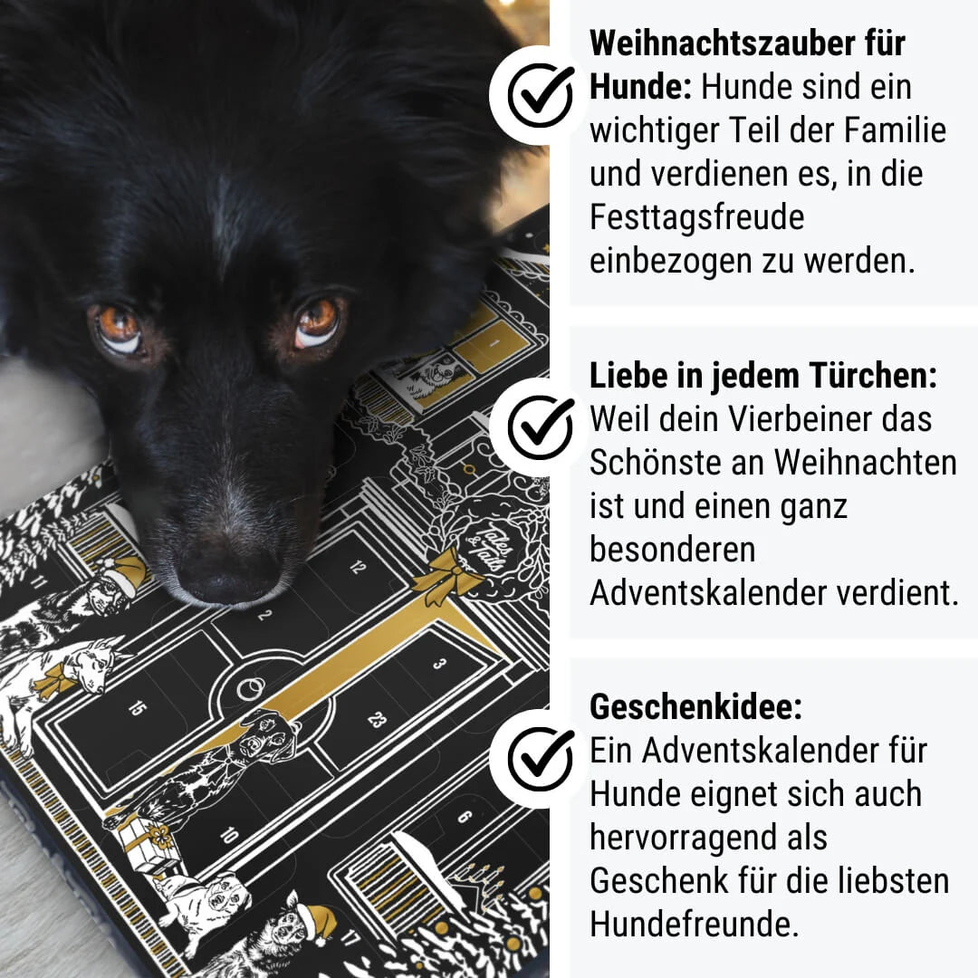 Die Vorteile des Hunde Adventskalenders von Tales & Tails im Überblick – natürlich, ohne Tierversuche, mit Spende