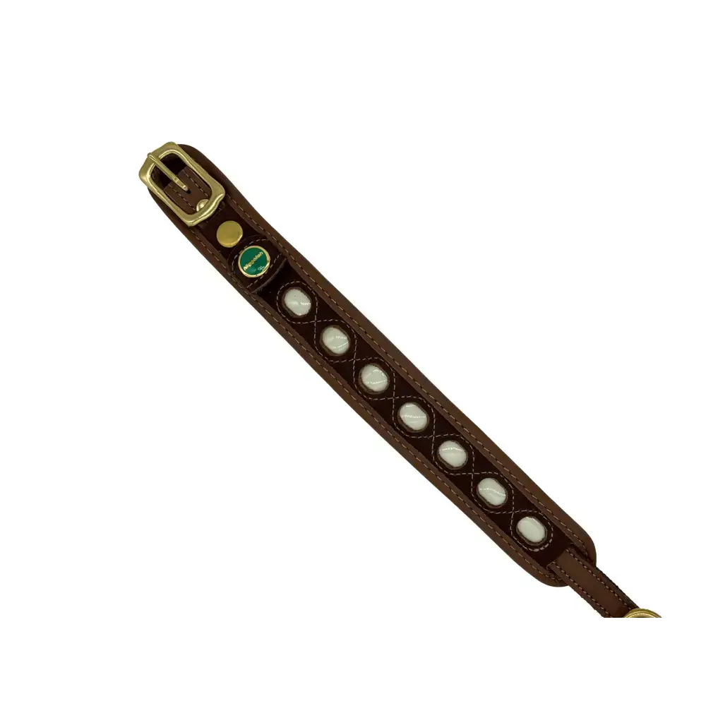  XS - Sicheres Hundehalsband mit reflektierender Power-Folie – Leuchtet bei Dunkelheit ohne Batterie.