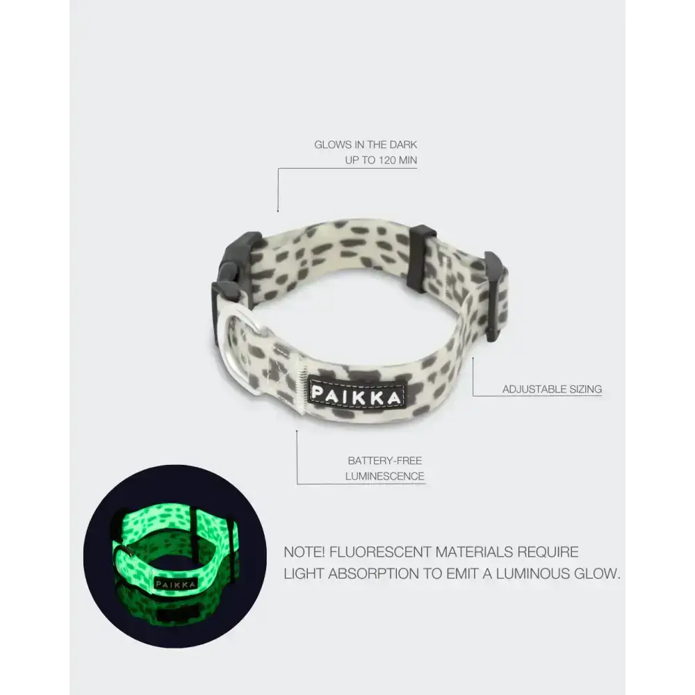 Robustes Hundehalsband mit Aluminium-D-Ring und PVC-beschichtetem Gewebe.