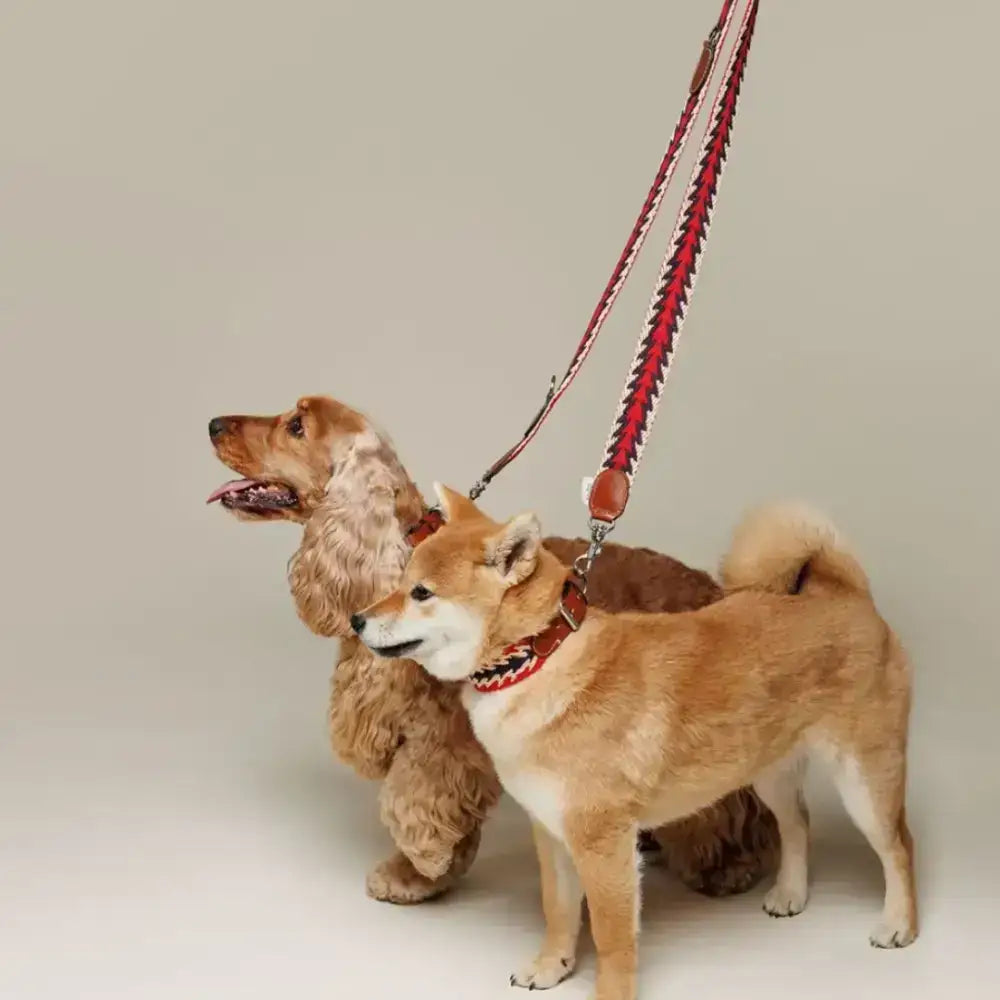 Hochwertiges Hundehalsband mit einzigartigem peruanischen Muster – PERUVIAN ARROW RED
