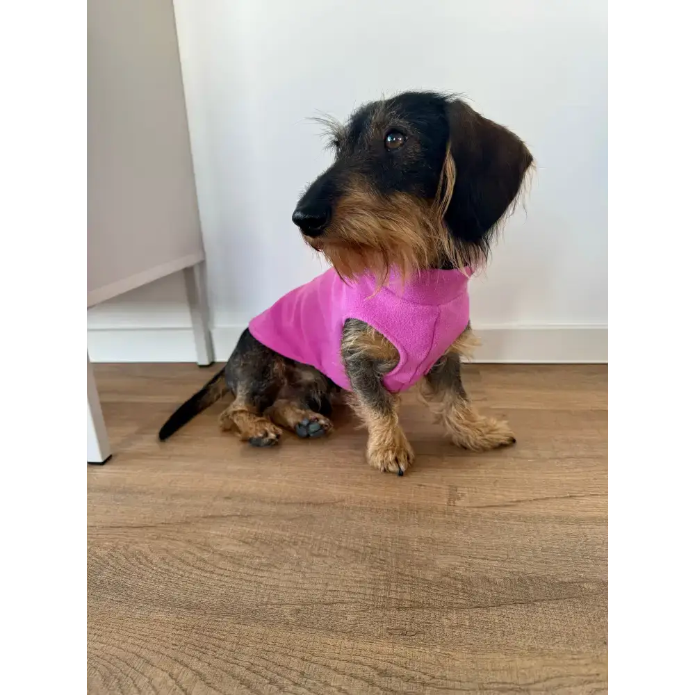 Polar Fleece Hundeshirt in Bubblegum für Dackel – warm, weich & komfortabel, ideal für drinnen & draußen.