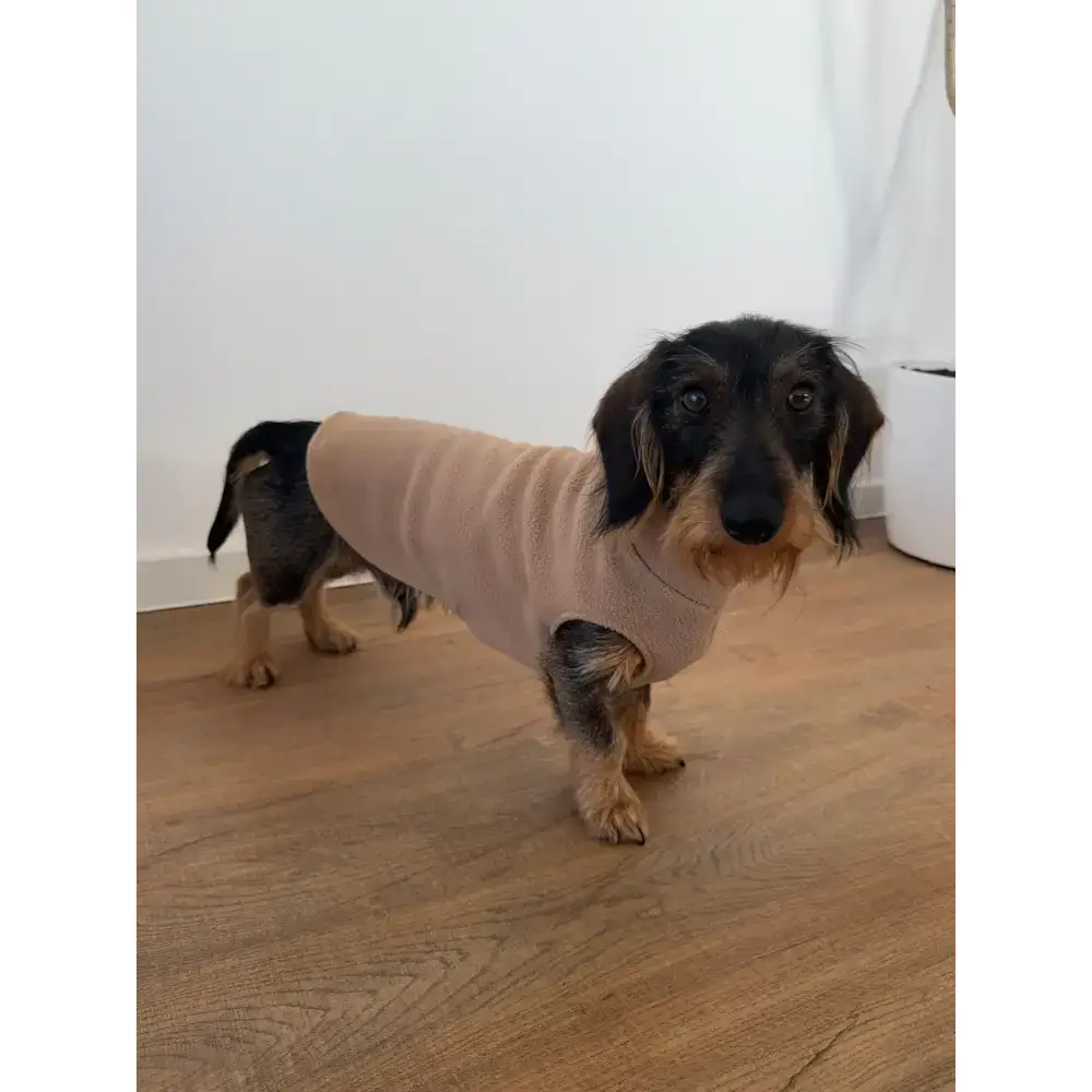Polar Fleece Hundeshirt in Camel für Dackel – warm, weich & komfortabel, ideal für drinnen & draußen.