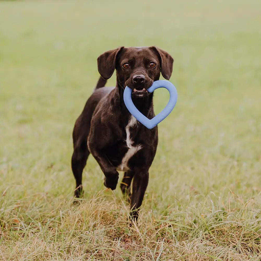 hey-lana-hundespielzeug-herz-blau