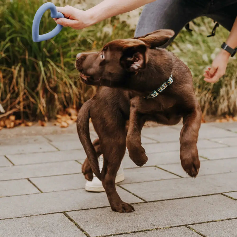Hundespielzeug // Herz - Hundespielzeug