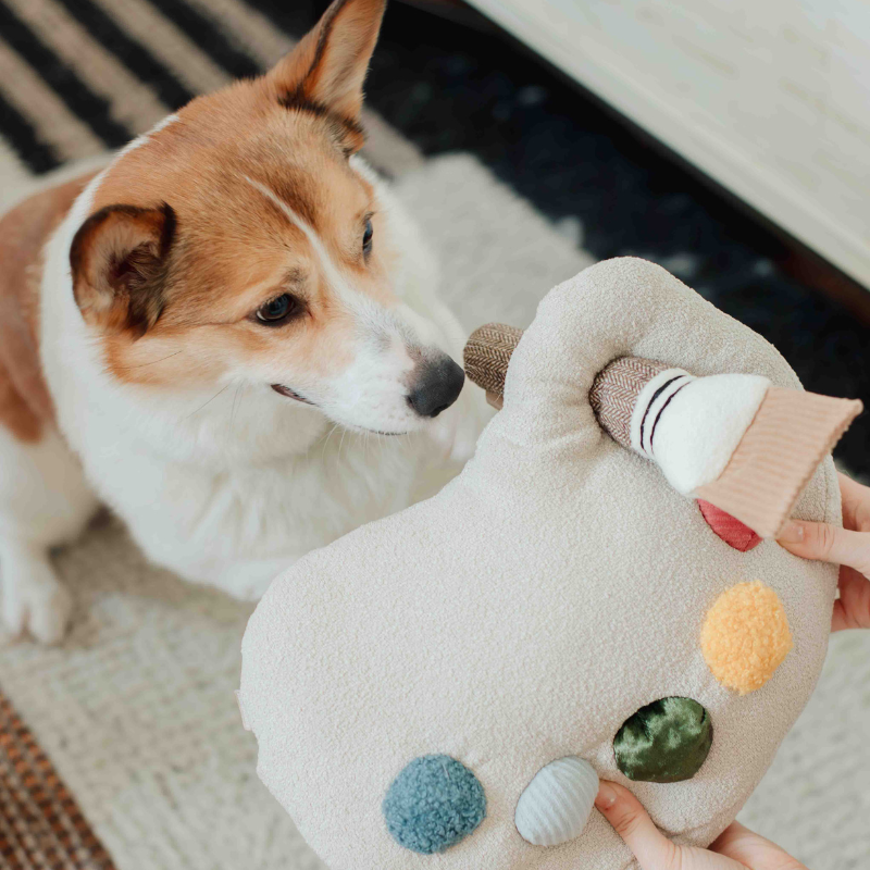Zwei Hunde spielen mit dem Farbpaletten-Set und Quietschpinsel von Lambwolf Collective