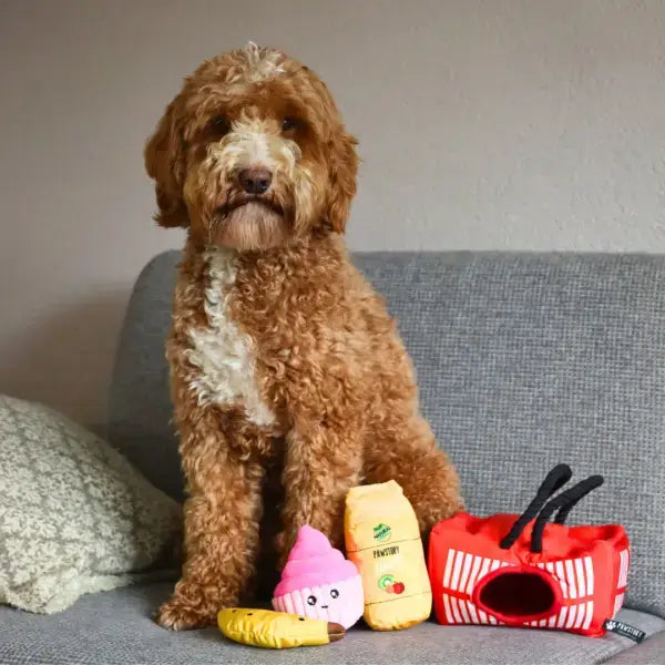 Hundespielzeug mit Quietschfunktion – ideal für neugierige und verspielte Vierbeiner.