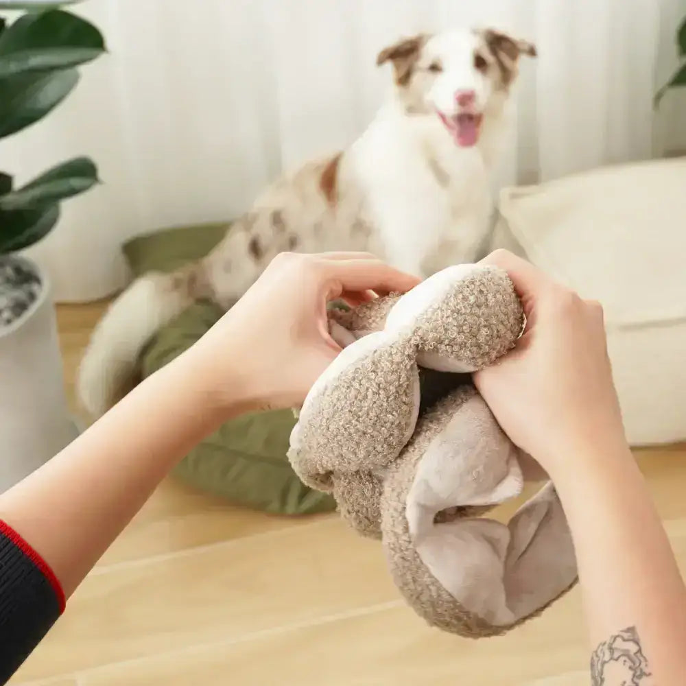 Interaktives Hundespielzeug mit 8 Quietschern & versteckten Leckerlis für extra Spielspaß.