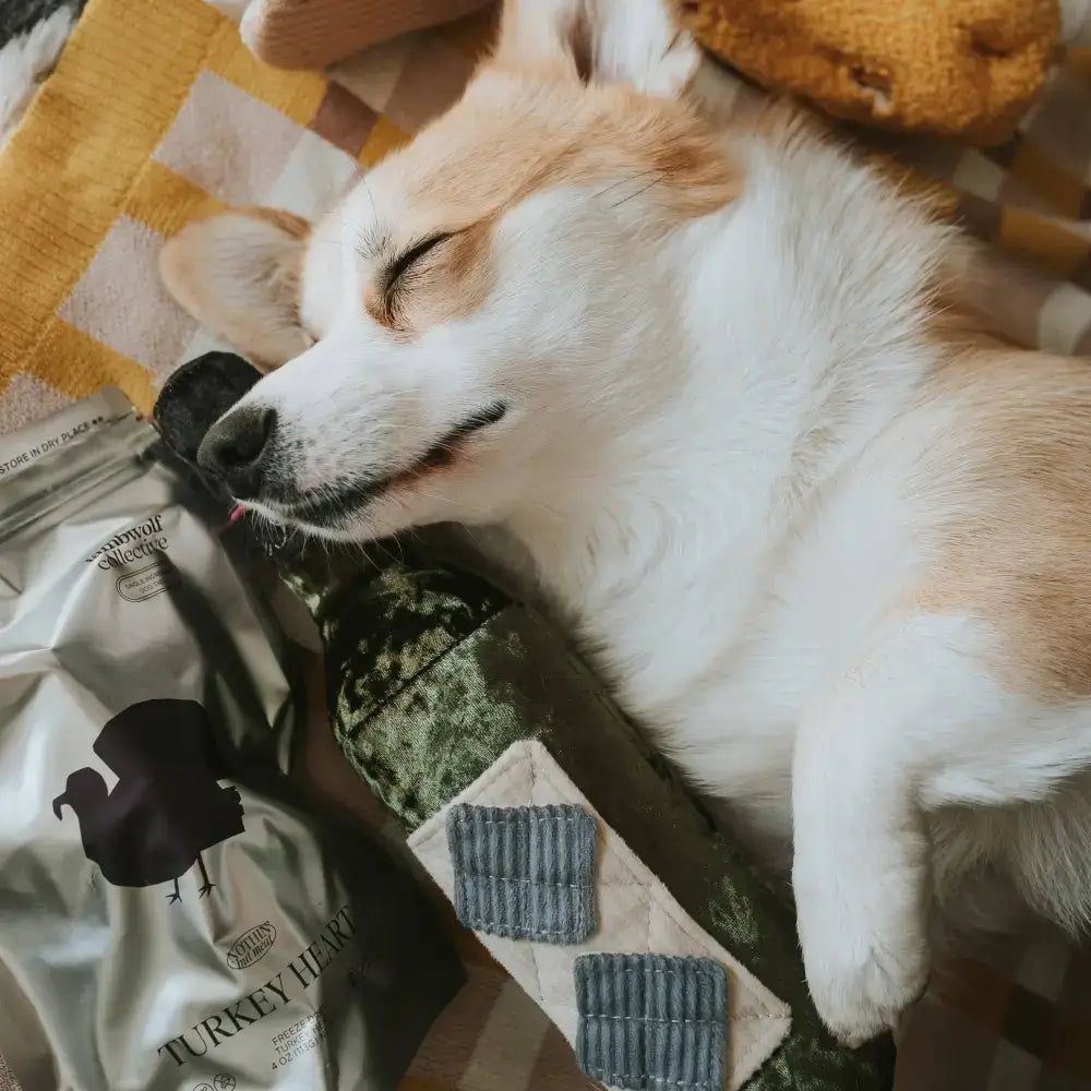 Interaktives Spielzeug für Hunde – MERLOT sorgt für Spaß, Beschäftigung & mentale Auslastung.