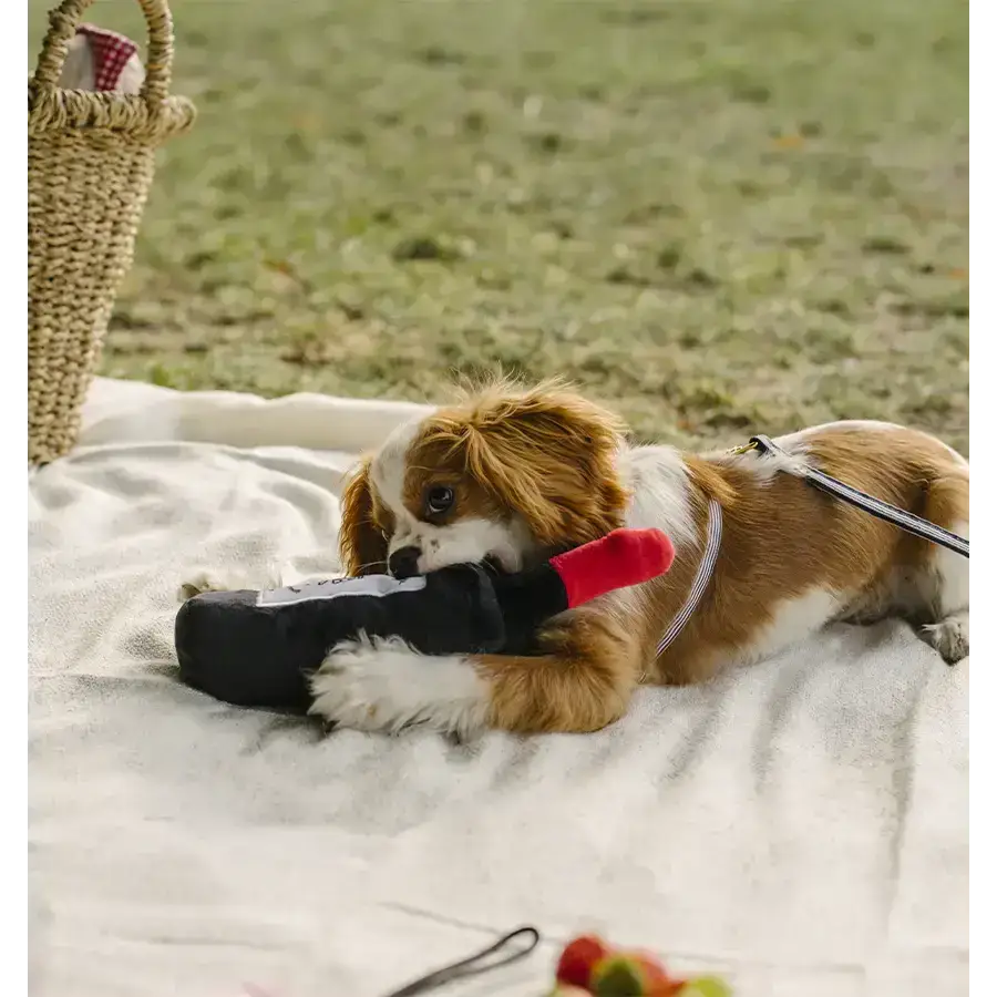 Detailansicht des French Bandit Hundespielzeugs in Form einer Weinflasche – weich, kuschelig und mit Quietscher.