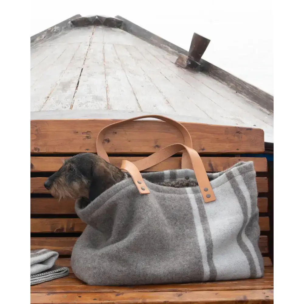 Edle Hundetasche aus recycelter Wolle mit Bouclé-Futter – modernes Design trifft Funktion