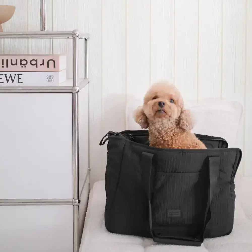 Wasserabweisende Hundetragetasche CITY – Perfekte Reisetasche für kleine und große Abenteuer