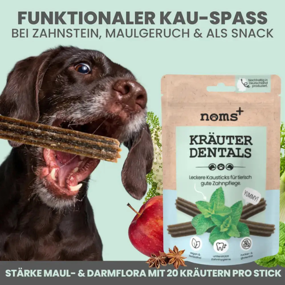 Dentalsticks für Hunde gegen Zahnstein & Mundgeruch – Pflanzliche Zahnpflege mit hypoallergenen Inhaltsstoffen.