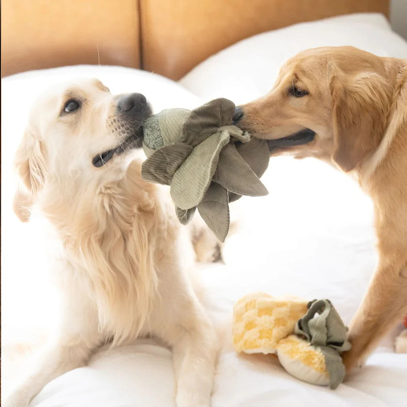 Beschäftigungsspielzeug Hund | KOHL POP - Stoffspielzeug