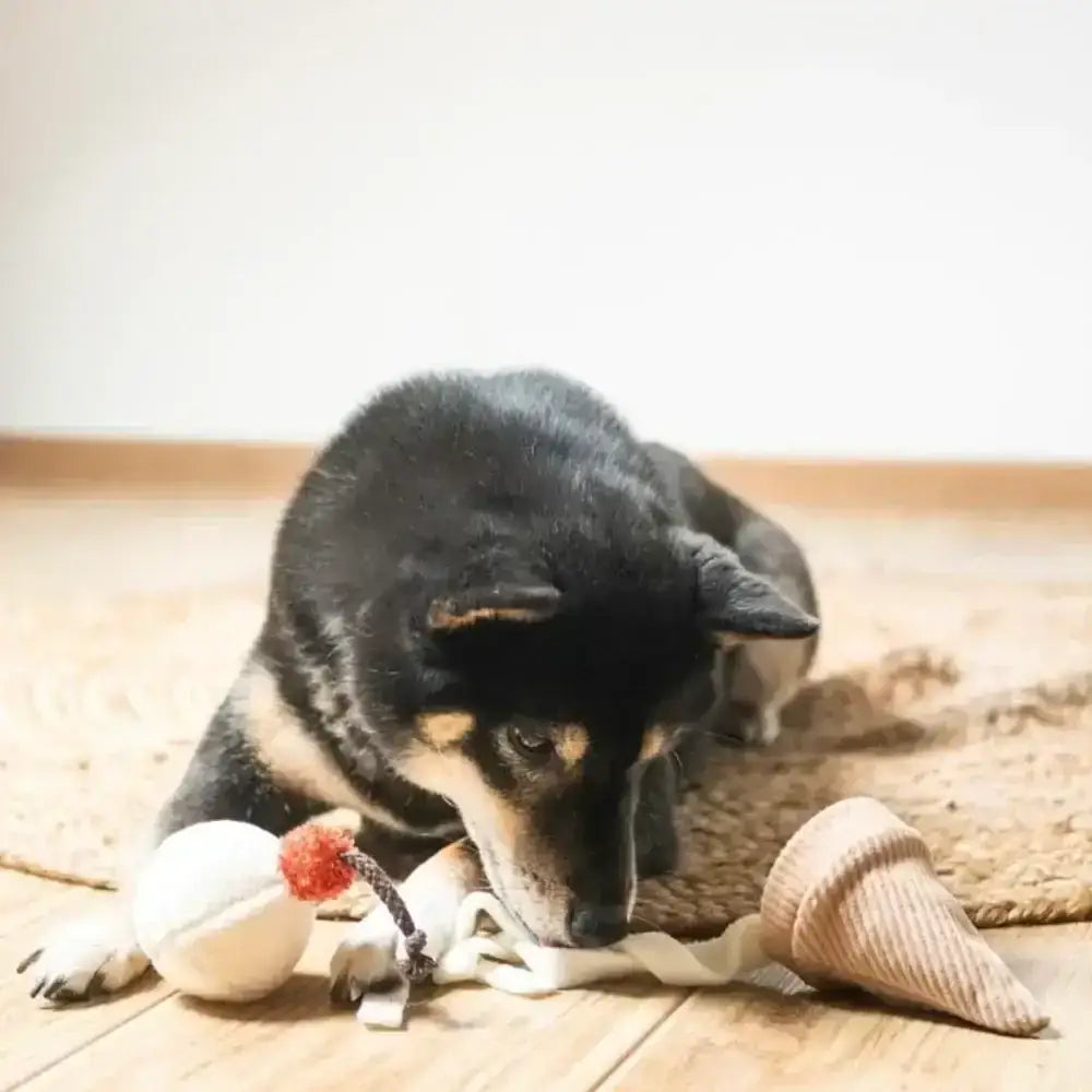 ICE CREAM POP Eistüte Hundespielzeug – Fördert Schnüffelarbeit und macht Hundespielzeit unterhaltsam