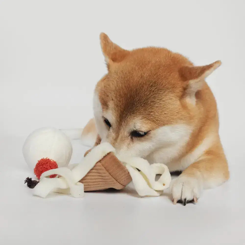 ICE CREAM POP Hundespielzeug von Lambwolf Collective – Apportieren, Quietschfunktion und Leckerli-Suche