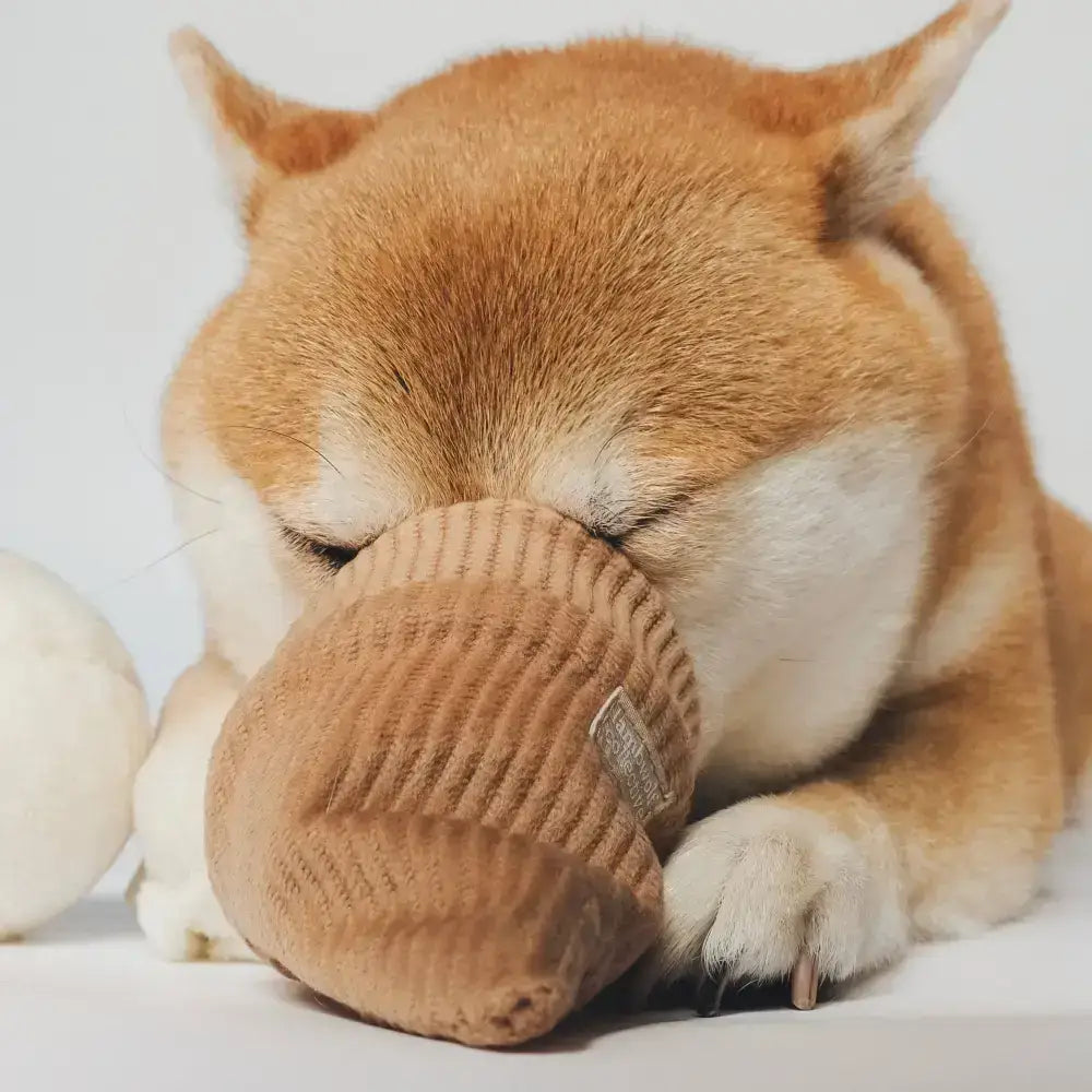 ICE CREAM POP Intelligenzspielzeug für Hunde – Weiche Teddystoff-Beschichtung und quietschende Eiskugel