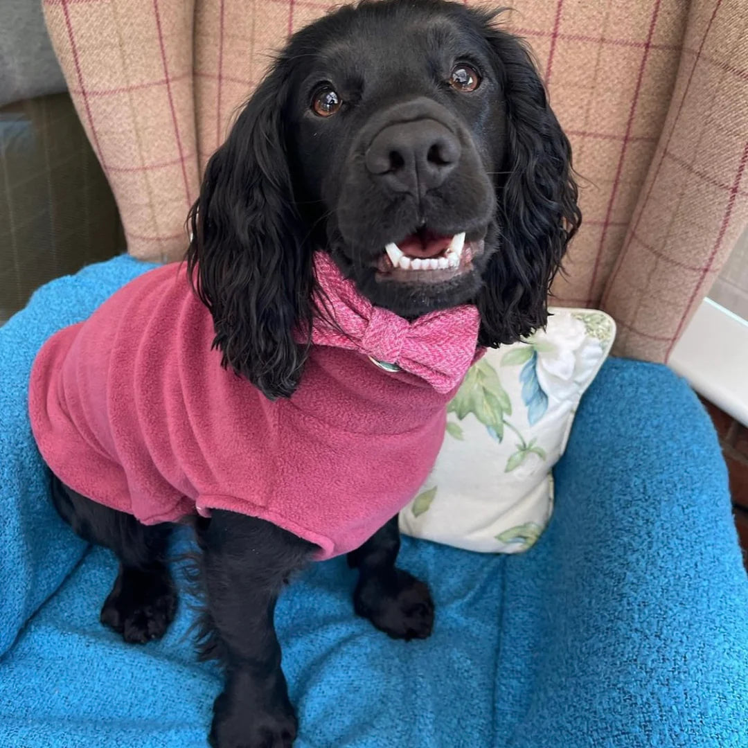 Fleecepullover für mittelgroße Hunde | Dusty Rose - Dusty Rose - Hundepullover