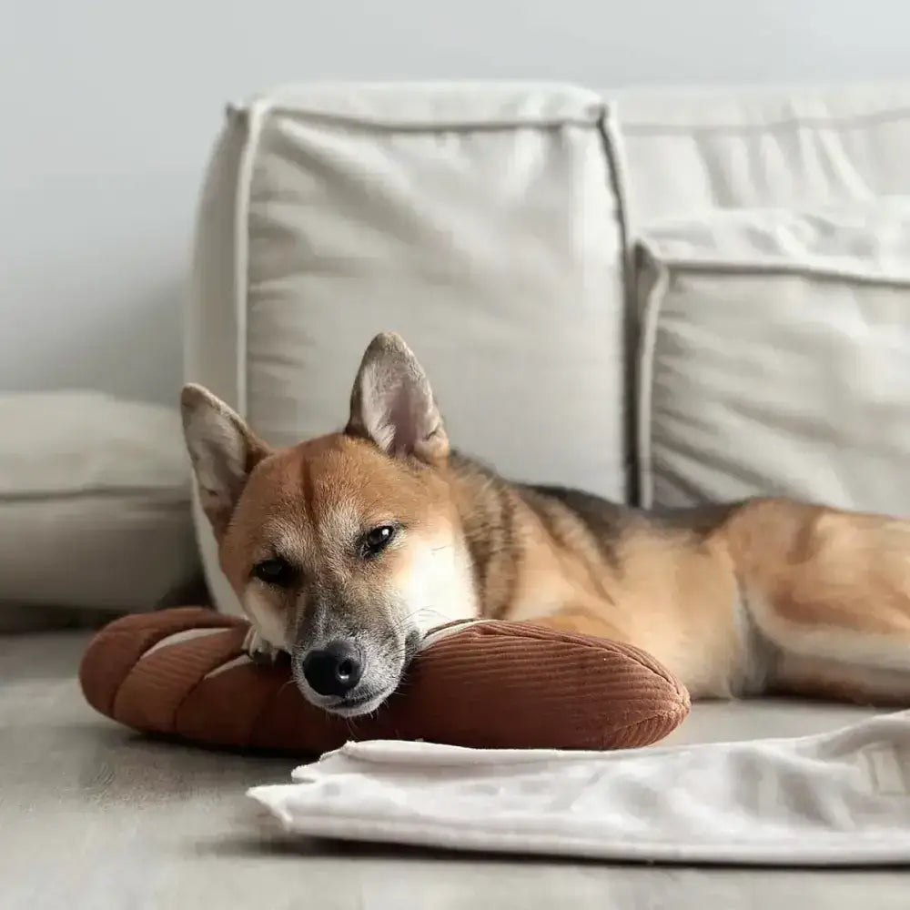 Intelligenzspielzeug für Hunde – BAGUETTE von Lambwolf Collective mit leisen Quietscher und Papiertüte