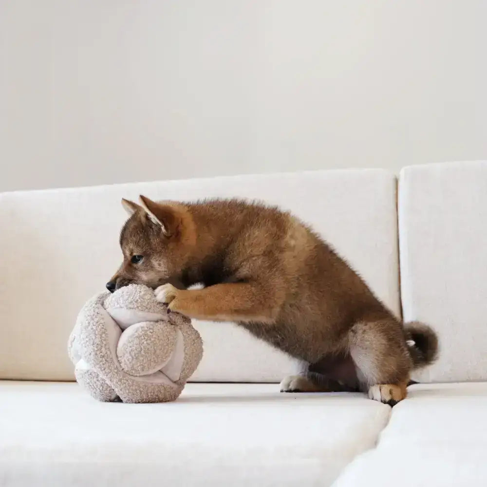Intelligenzspielzeug für Hunde – MONTI Schnüffelball in Beige mit versteckten Leckerli-Fächern.