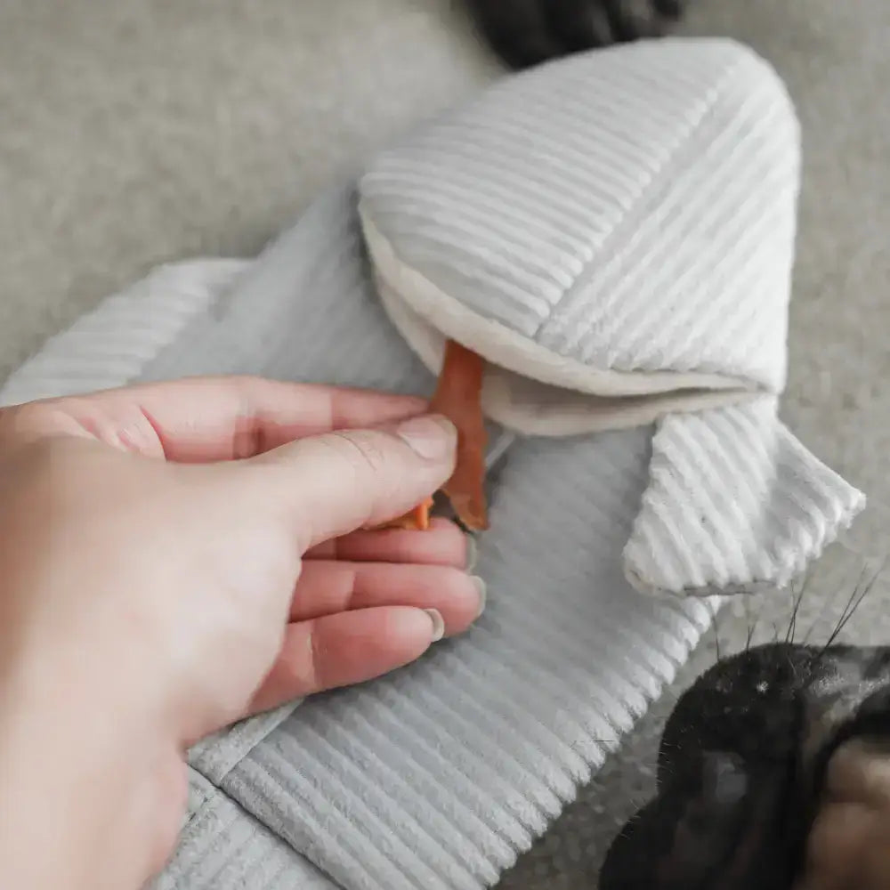 Forellenförmiges Hundespielzeug mit versteckten Leckerli-Taschen & Quietschern für extra Spaß.