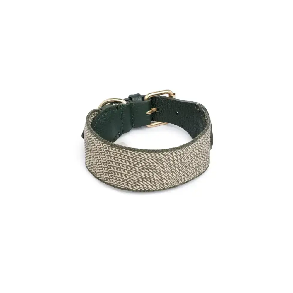 JAMES GREEN Hundehalsband – Ein modisches Accessoire mit edlen Details und hochwertiger Verarbeitung
