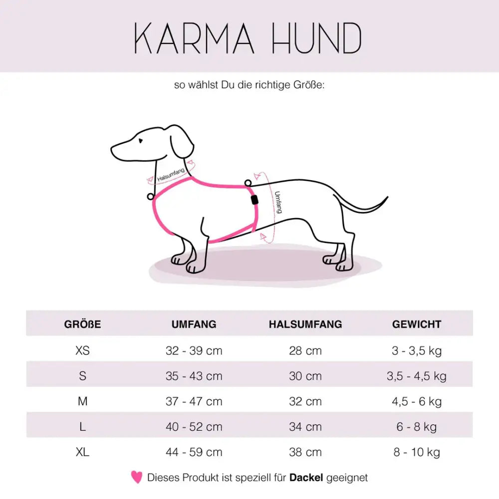 Größentabelle des Karma Hund All Black Hundegeschirrs – passende Größen für Kaninchendackel, Zwergdackel und Standard-Dackel für perfekten Sitz.