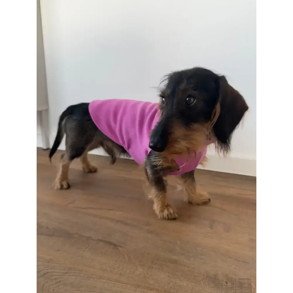 Karma Hund Long Shirt in Bubblegum – modischer Hundepullover für aktive Dackel, ideal für Spaziergänge & Outdoor-Abenteuer.