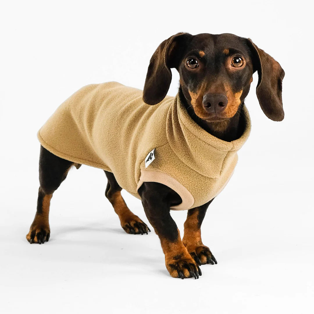 Karma Hund Long Shirt in Camel am Dackel – Frontansicht, ärmellos und elastisch