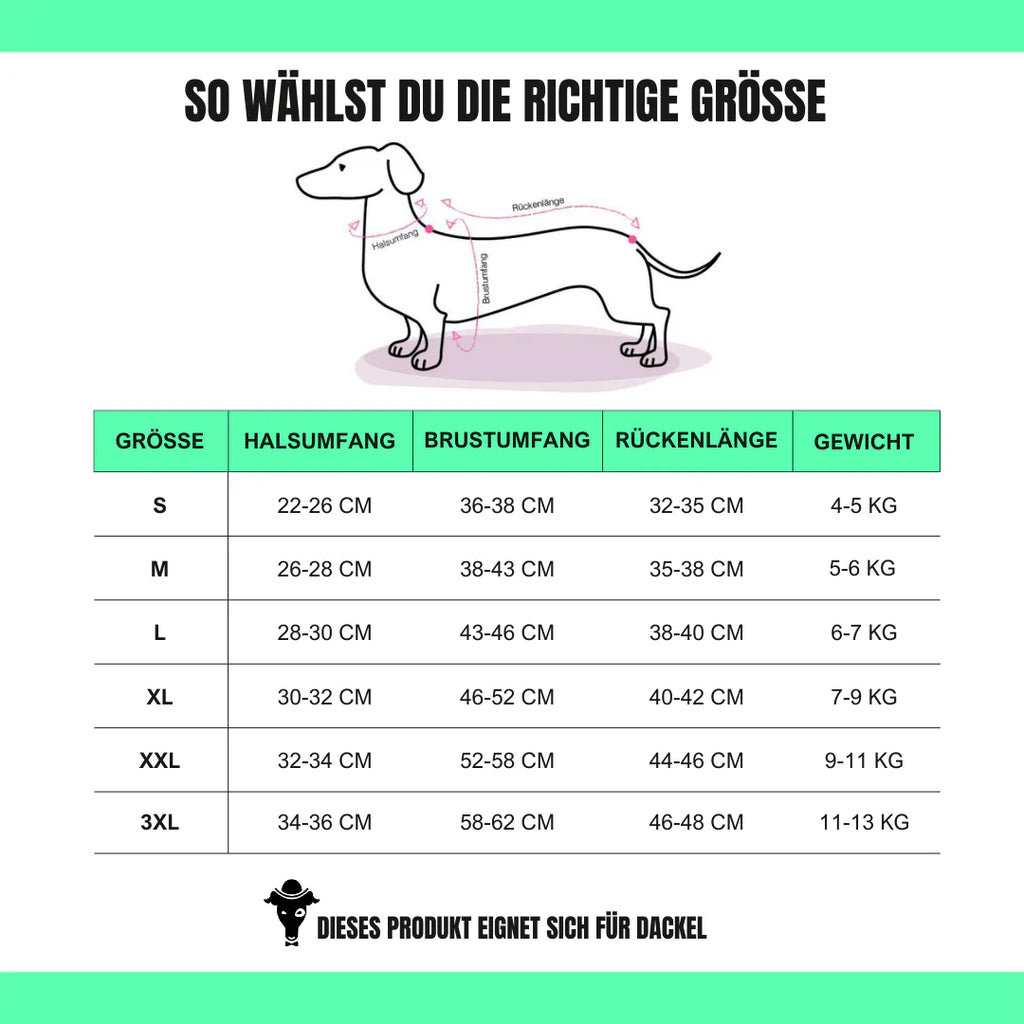 Größentabelle Karma Hund Long Shirt – Dackel Maße für Rücken, Brust und Hals (Size Guide)