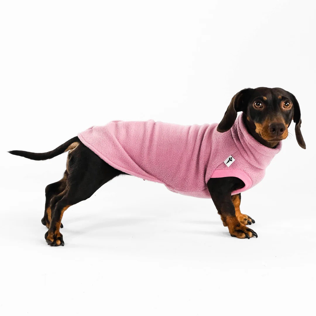 Dackel im Karma Hund Long Shirt in Mulberry – Seitenansicht rechts, extra Länge für langen Rücken