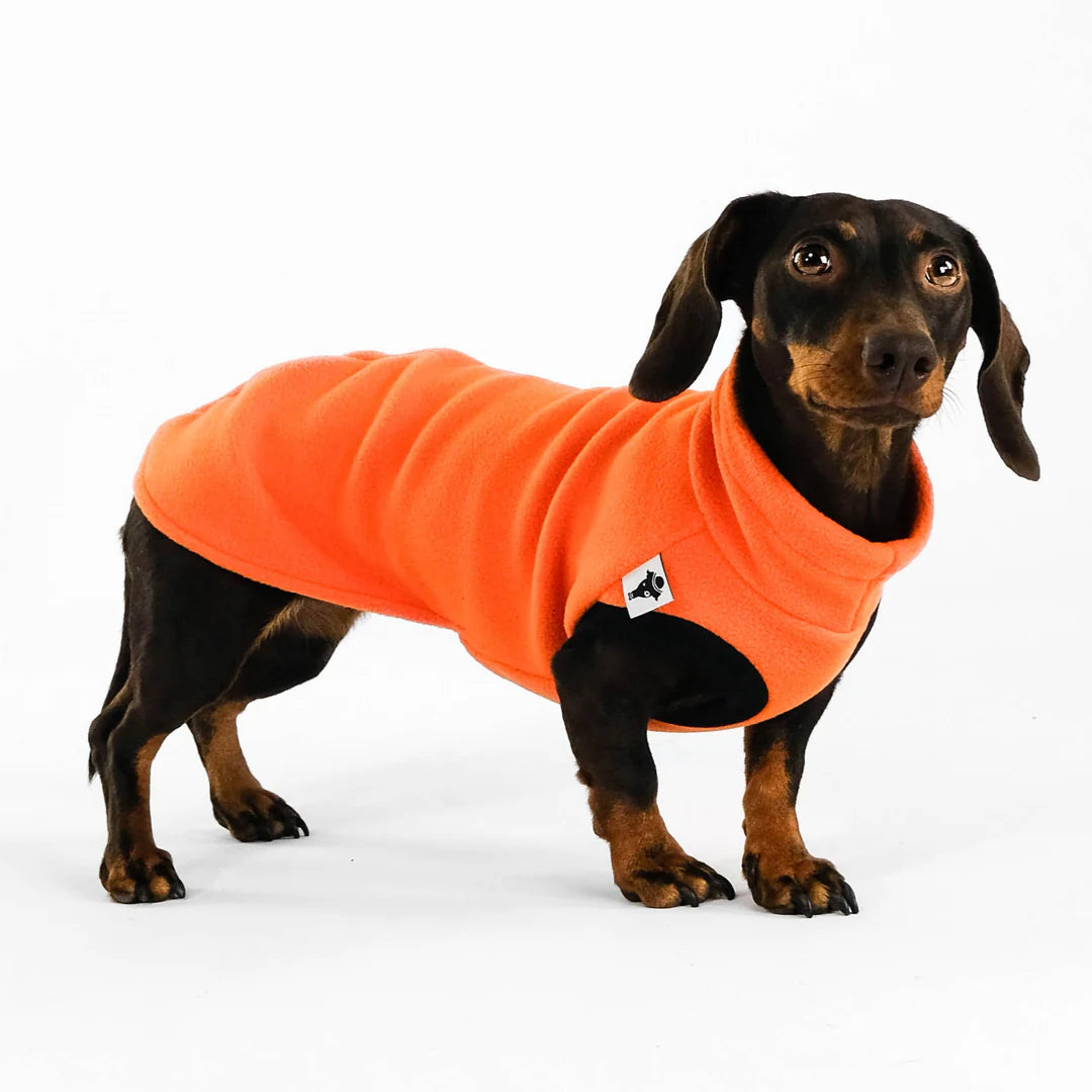 Rückenansicht Karma Hund Long Shirt Orange – extra Länge für langen Dackelrücken, geschirrfreundlich