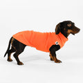 Dackel trägt Karma Hund Long Shirt in Orange – Seitenansicht, dackelgerechter Schnitt aus Polar Fleece