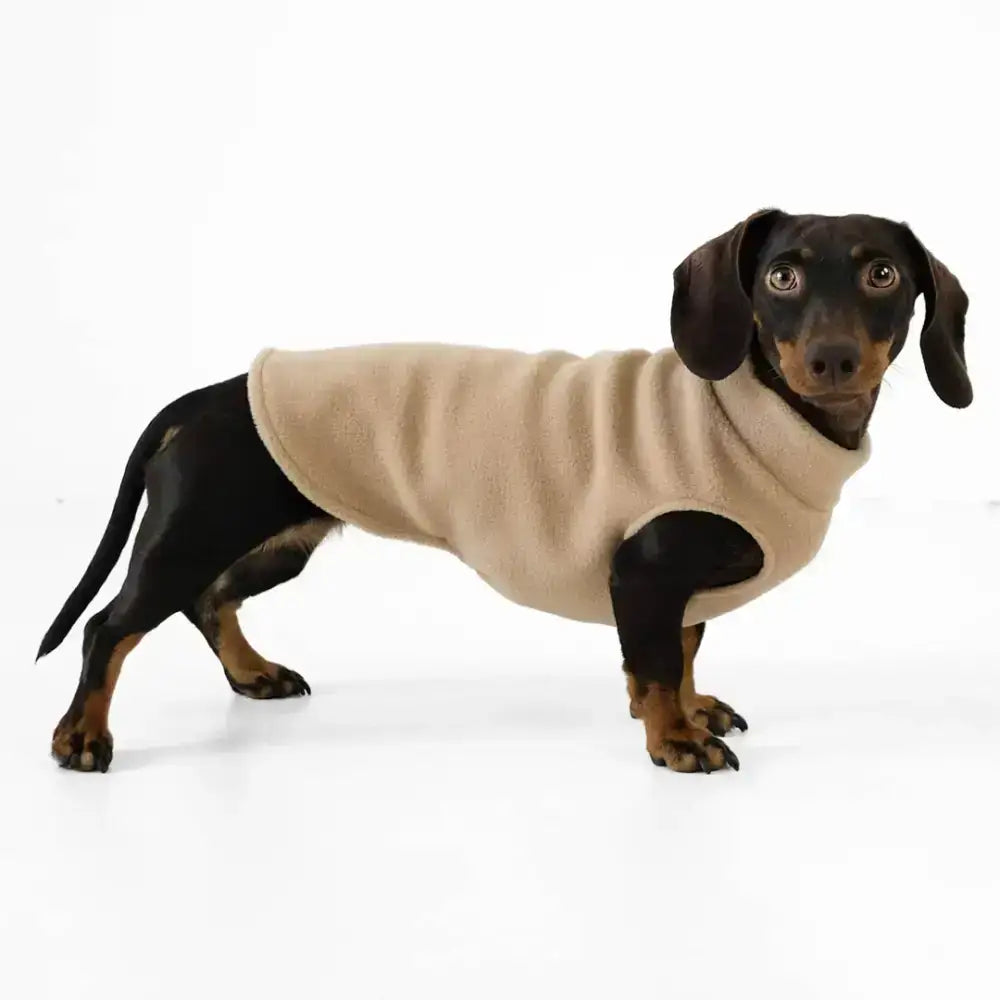Karma Hund Long Shirt Camel – wärmender & stylischer Hundepullover aus Polar Fleece für Dackel, ideal für kalte Tage.