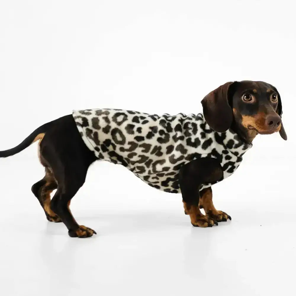 Karma Hund Long Shirt Leo – wärmender & stylischer Hundepullover aus Polar Fleece für Dackel, ideal für kalte Tage.