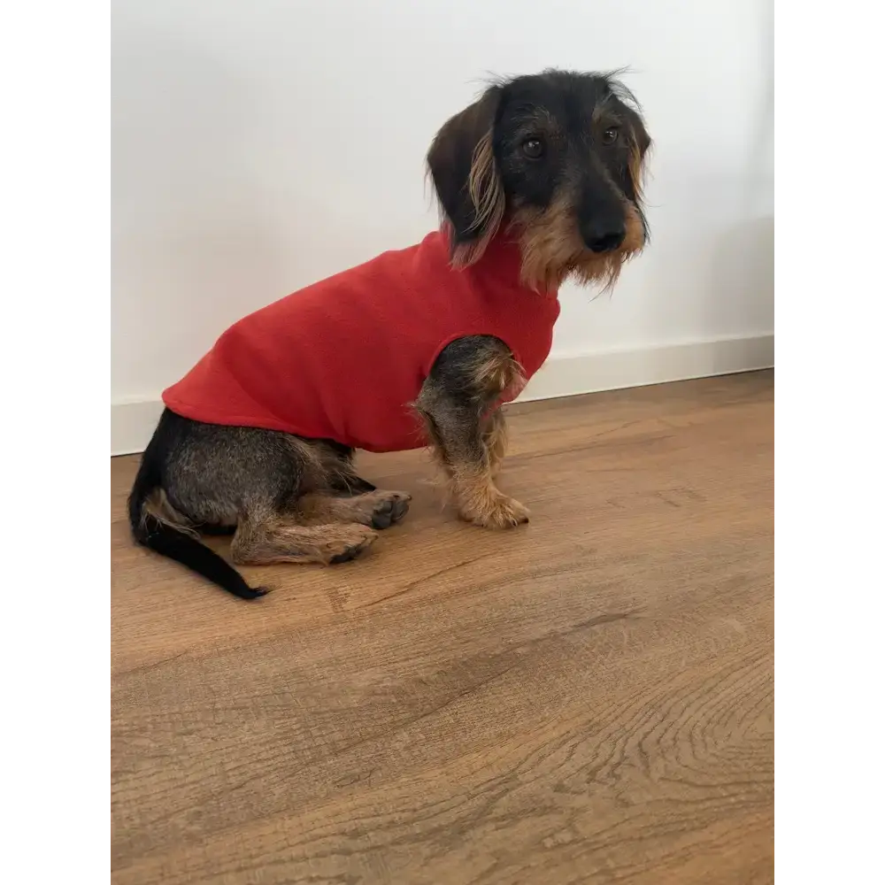 Karma Hund Long Shirt aus Polar Fleece – wärmender & stylischer Hundepullover für Dackel, ideal für kalte Tage.