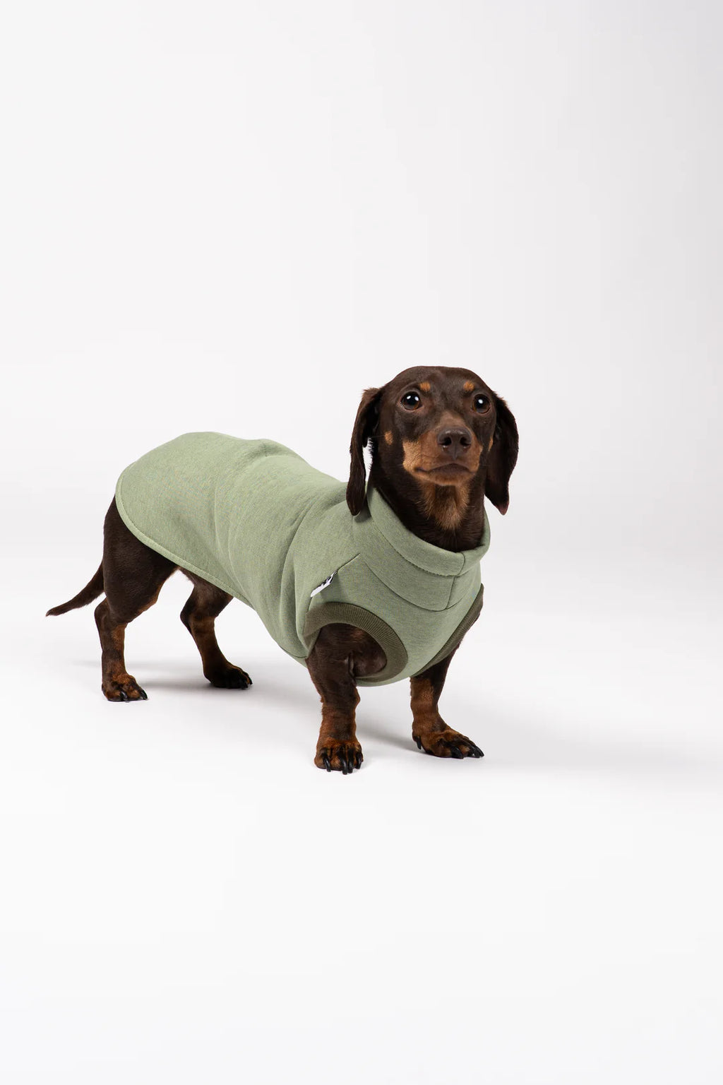 Hundeshirt für Dackel in Matcha – Front/¾-Ansicht, ärmellos & elastisch