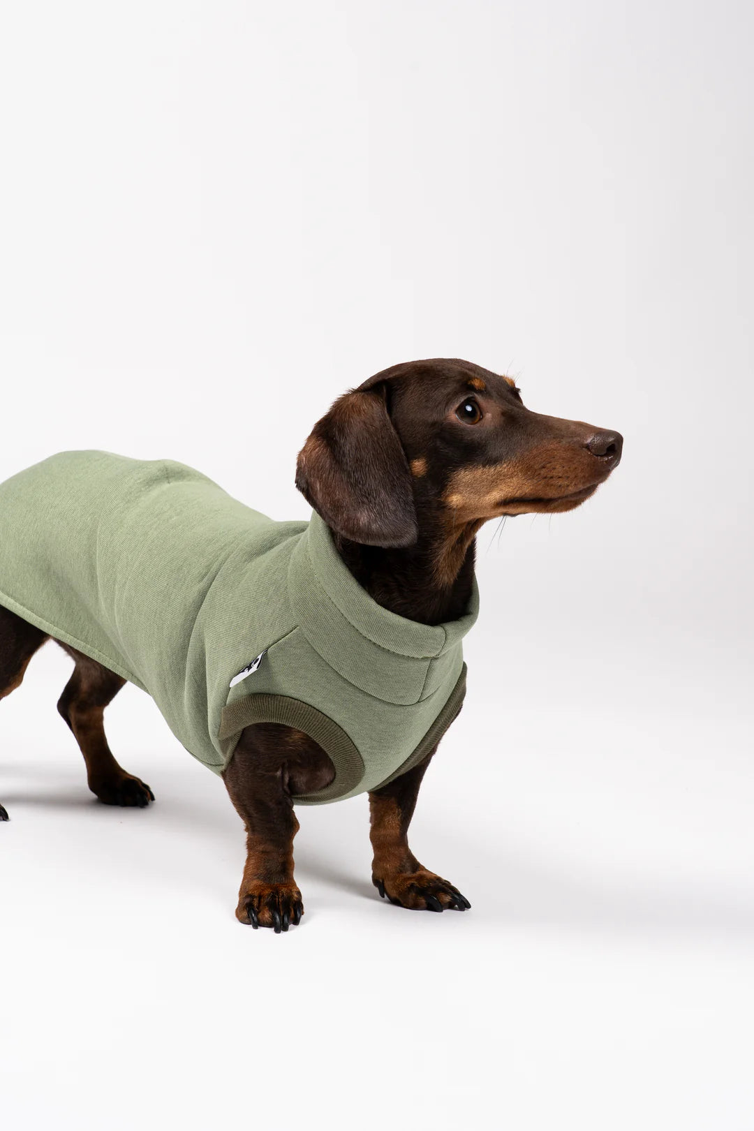 Karma Hund Sweat Shirt 2.0 Matcha – Profilansicht, weich & atmungsaktiv