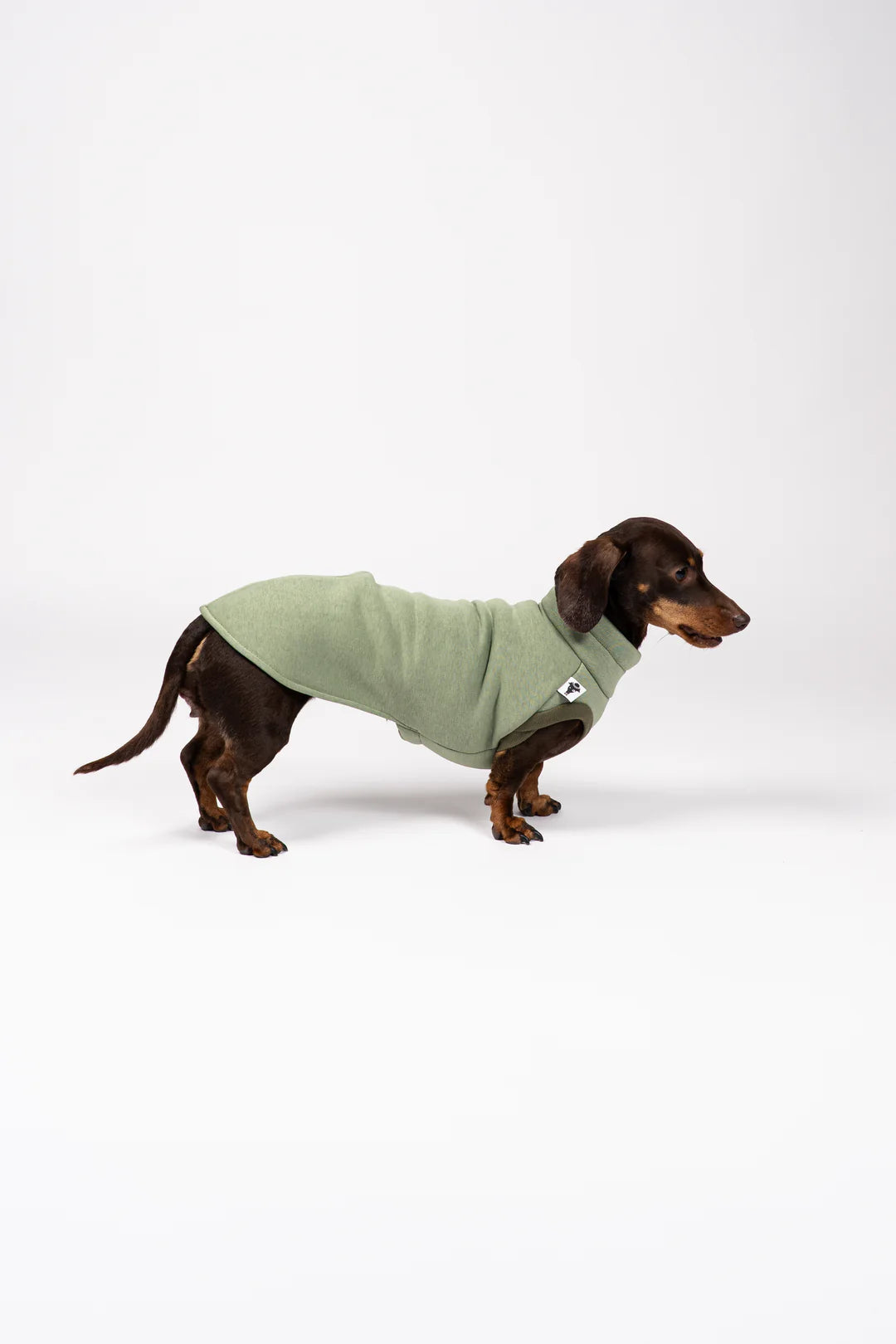 Dackel trägt Karma Hund Sweat Shirt 2.0 in Matcha – Seitenansicht, dackelgerechter Schnitt aus Baumwollfleece