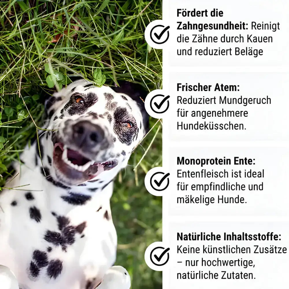 Natürliche Kaustangen für Hunde – 200g Beutel mit extra Kauspaß